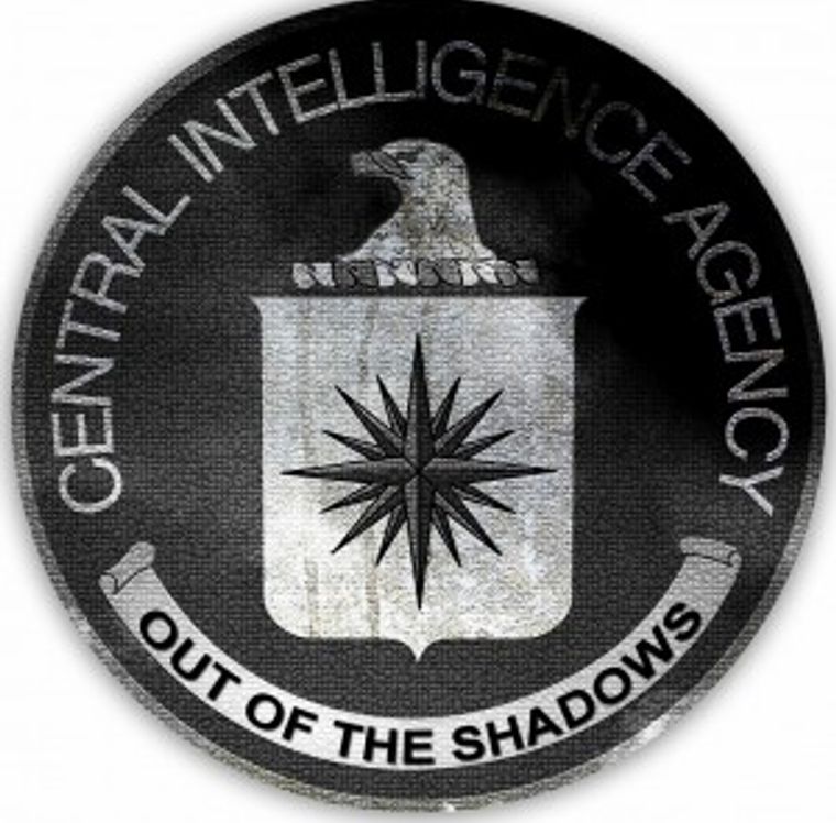 Logo for the out of the shadows project 
