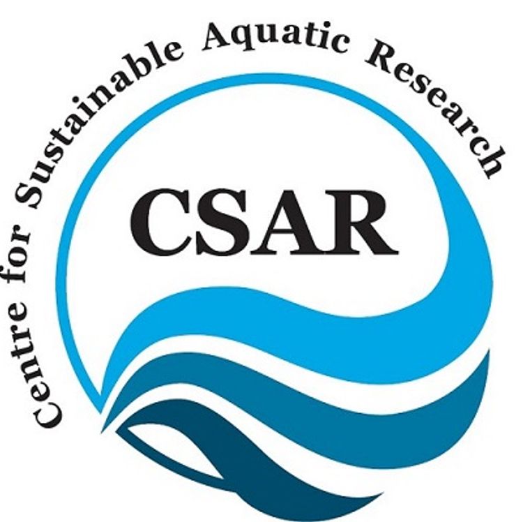 Logo for CSAR
