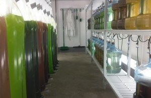 Algae Lab