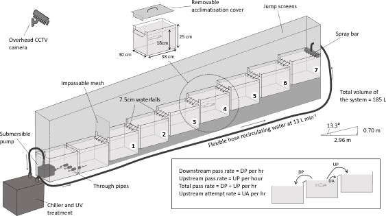 Figure from scientific publication showing the cascade fish system