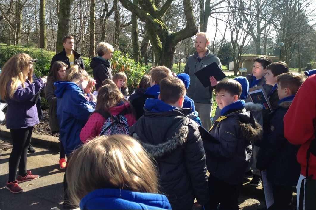 Primary students take part in a nature day