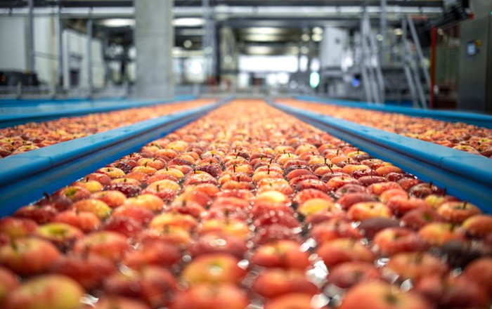 Hundred of apples in a factory 