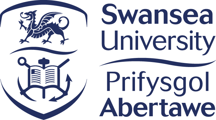 Image result for swansea university logo