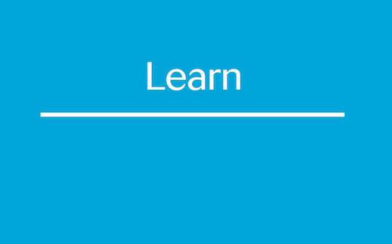 Blue Learn logo