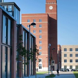 View of Bay Campus Accommodation against a brilliant blue sky