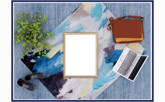 a blue rug, a frame, plant, bag, laptop and shoes