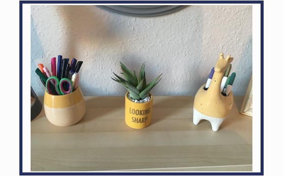Pencil pots and a cactus