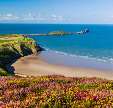 Photo of Gower