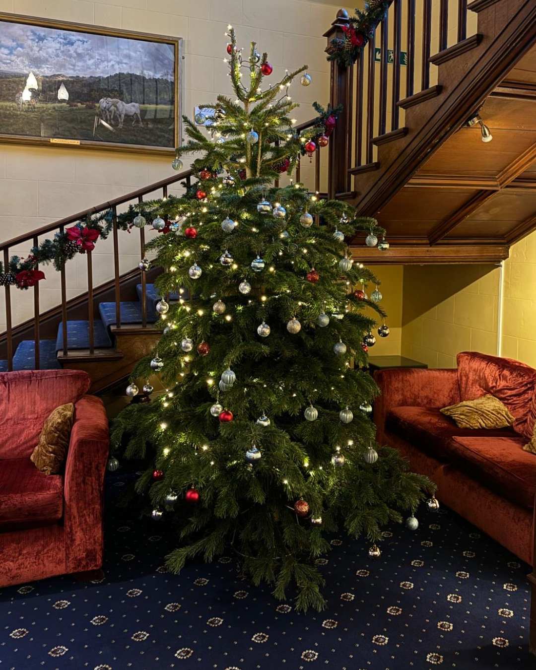 Christmas Tree in Singleton Abbey