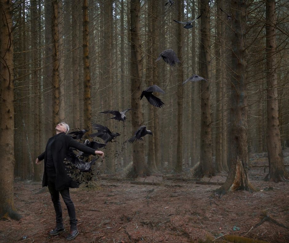Crow Forest - Credit: Lucy Purrington.