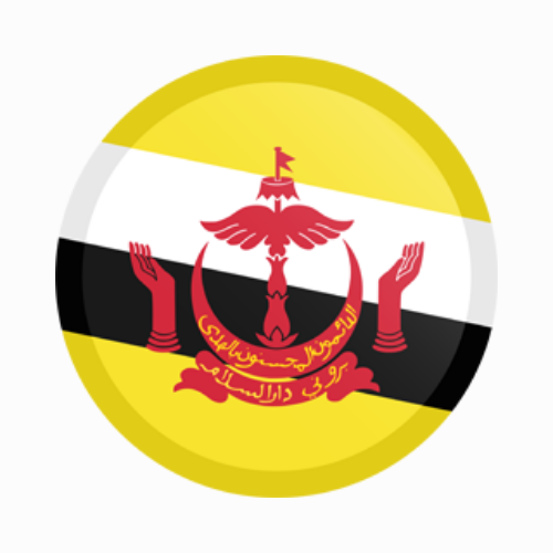 Brunei flag icon