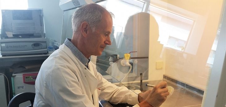 Professor Paul Dyson at work in the lab. 