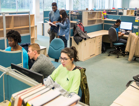 Postgraduate students studying in the library