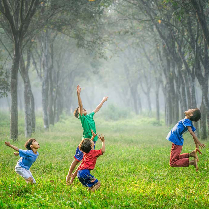 An image of children playing in the forest
