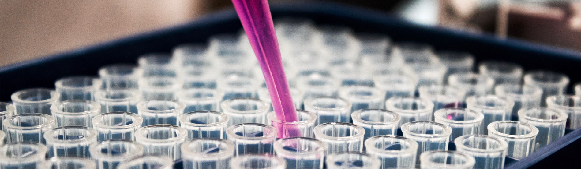 An image of pipette with purple chemical and test tubes 