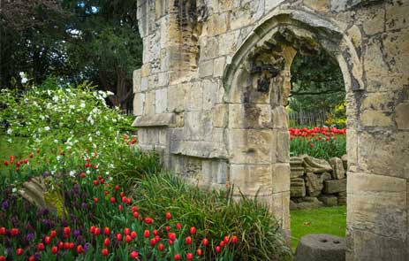 Image of medieval enclosed gardens