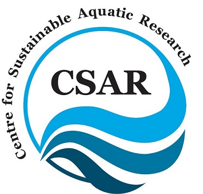CSAR logo
