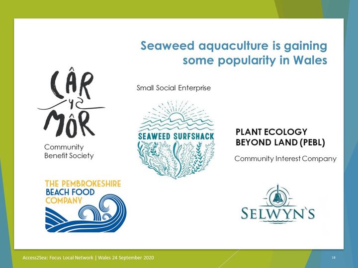 Seaweed aquaculture is gaining some popukarity in Wales