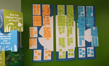 Post-its of different colours posted onto a printed lumpfish silhouette. 