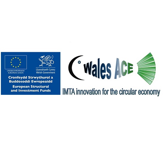 WalesACE logo