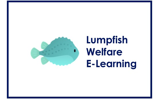 Lumpfish e-learning logo