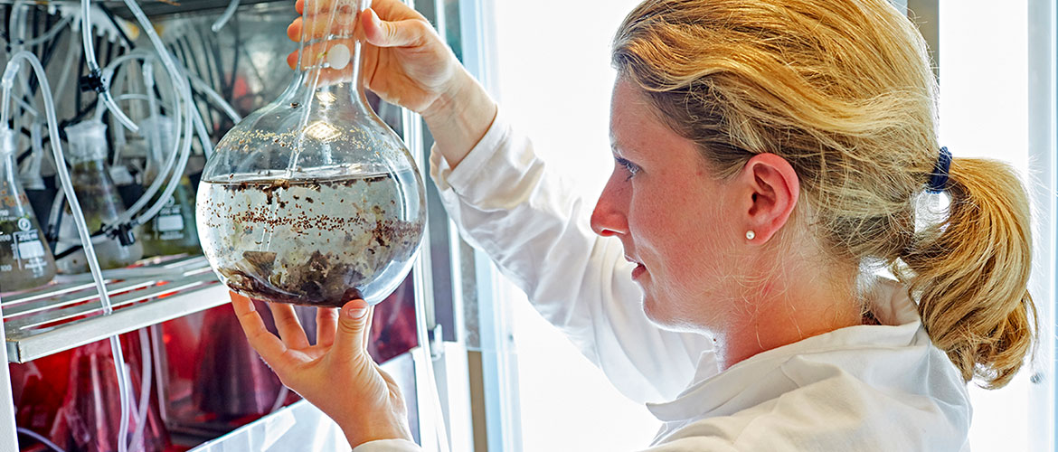 Biosciences student examining algae in a flask