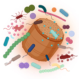 Microbes graphic