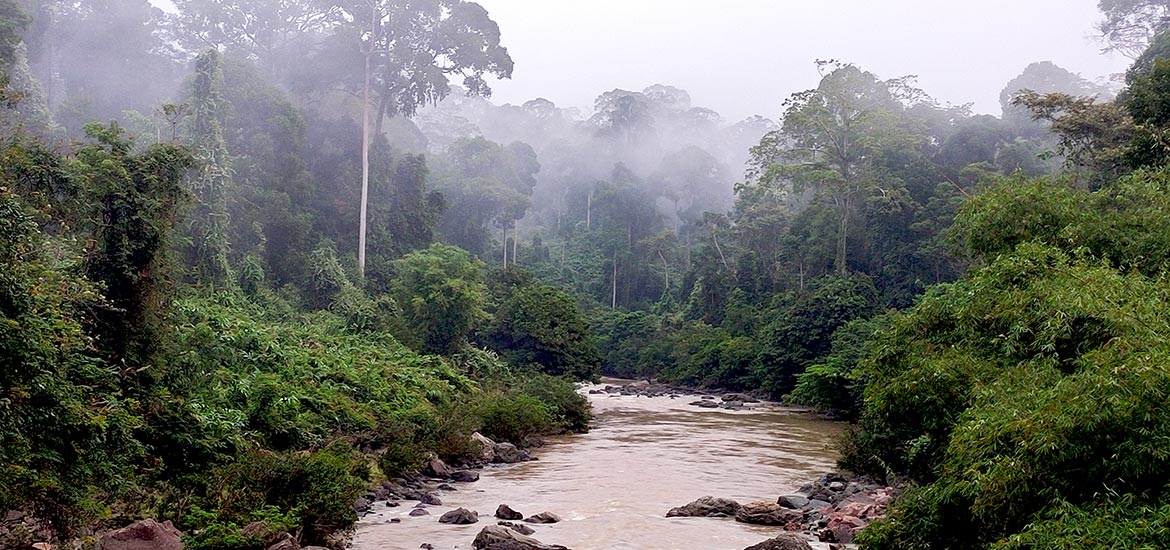 River in Borneo