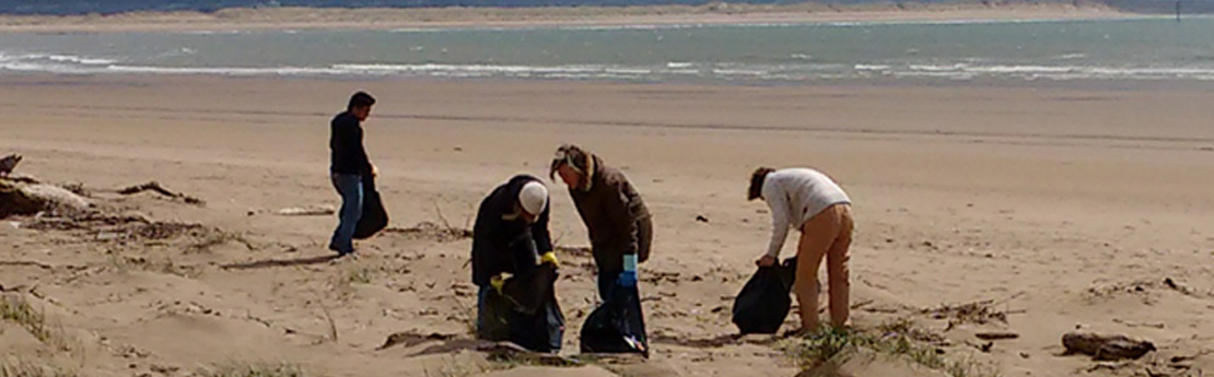 Members of Swansea University helping pick up litter from the beach