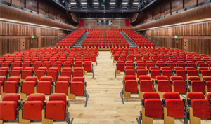 Large conference room with floor seating and raised seating
