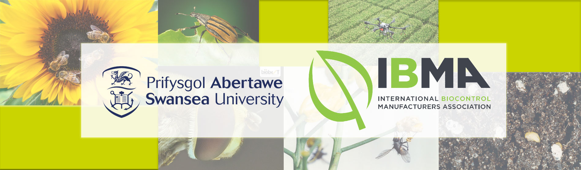 Images of insects, forestry and pesticide spraying. With the swansea University and ibm logo