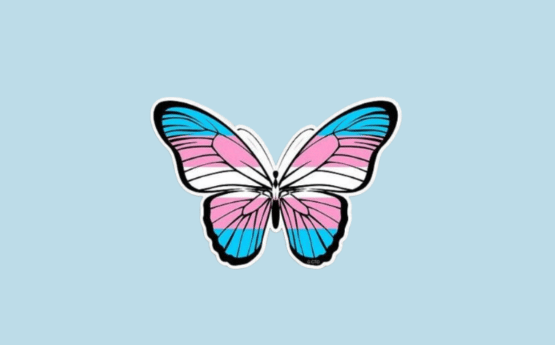 Butterfly logo in blue pink and white