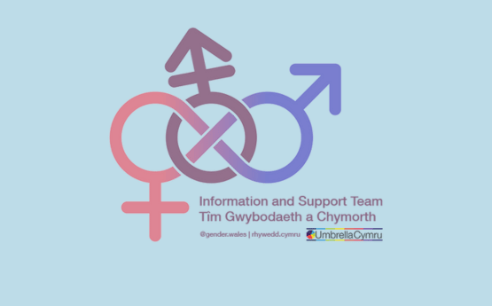 Gender Wales Logo