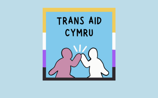 Transaid Cymru Logo