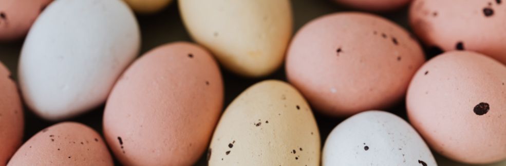 speckled eggs