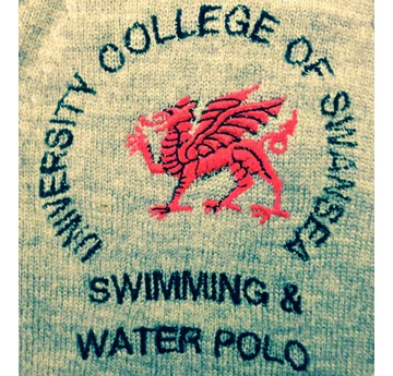 Close up of the Dolphin's club logo - embroidered at Nash Sports in Sketty 