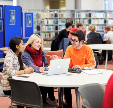 An image of a group of students studying in the Bay Campus library.