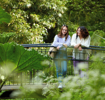 Two people leaning on a bridge in a green garden setting