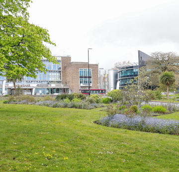 An image of the front of Fulton House on Singleton Campus.