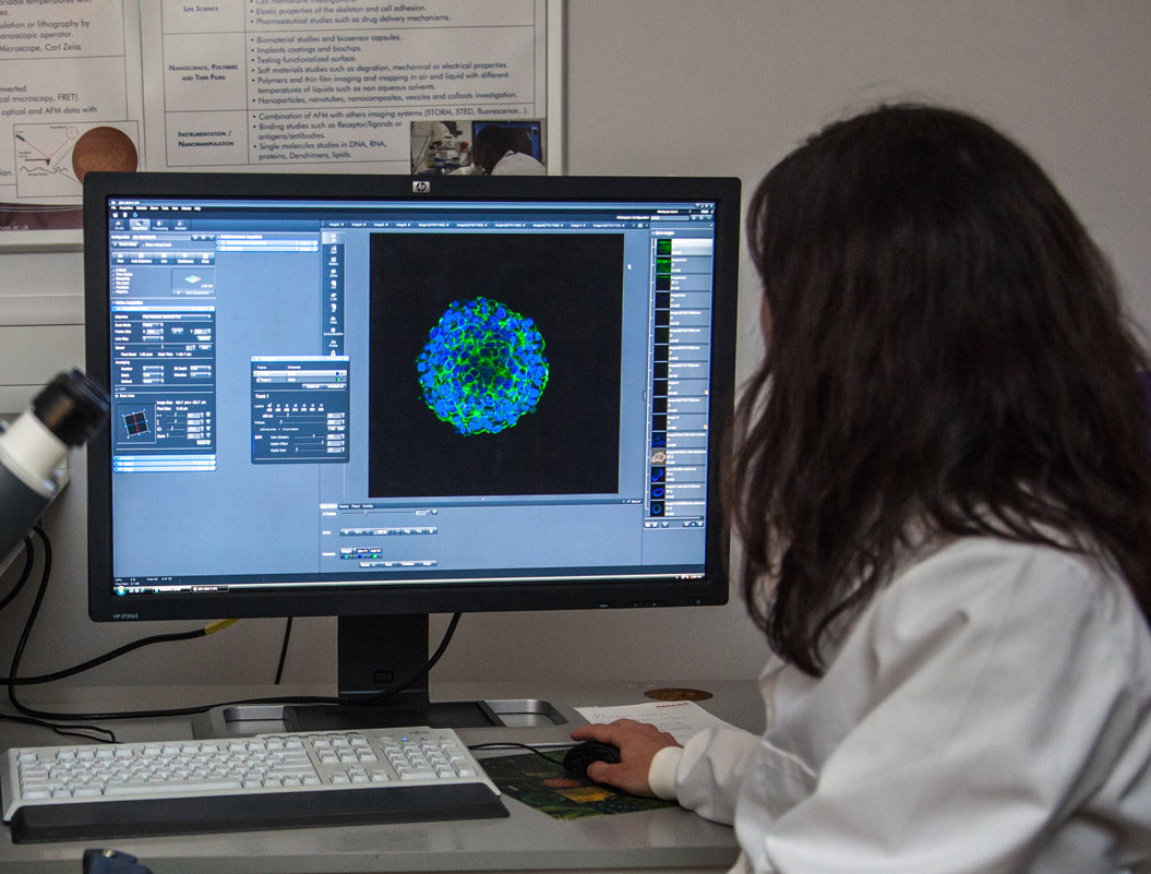 Student working in a lab, looking at monitor image