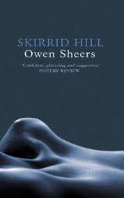 The book cover of Skirrid Hill by Owen Sheers