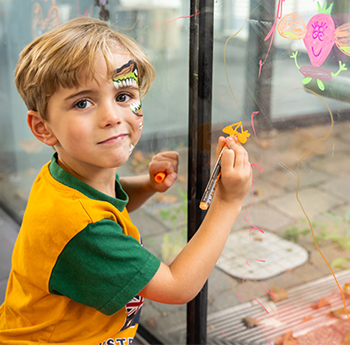 Boy drawing artwork on glass window display