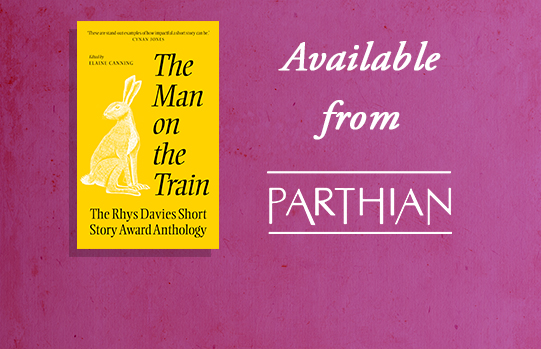 Front cover image of 'The Man on the Train'