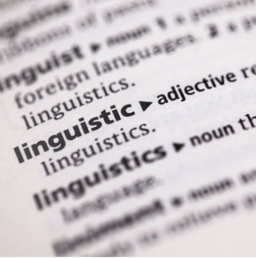 image of dictionary definition of linguistics