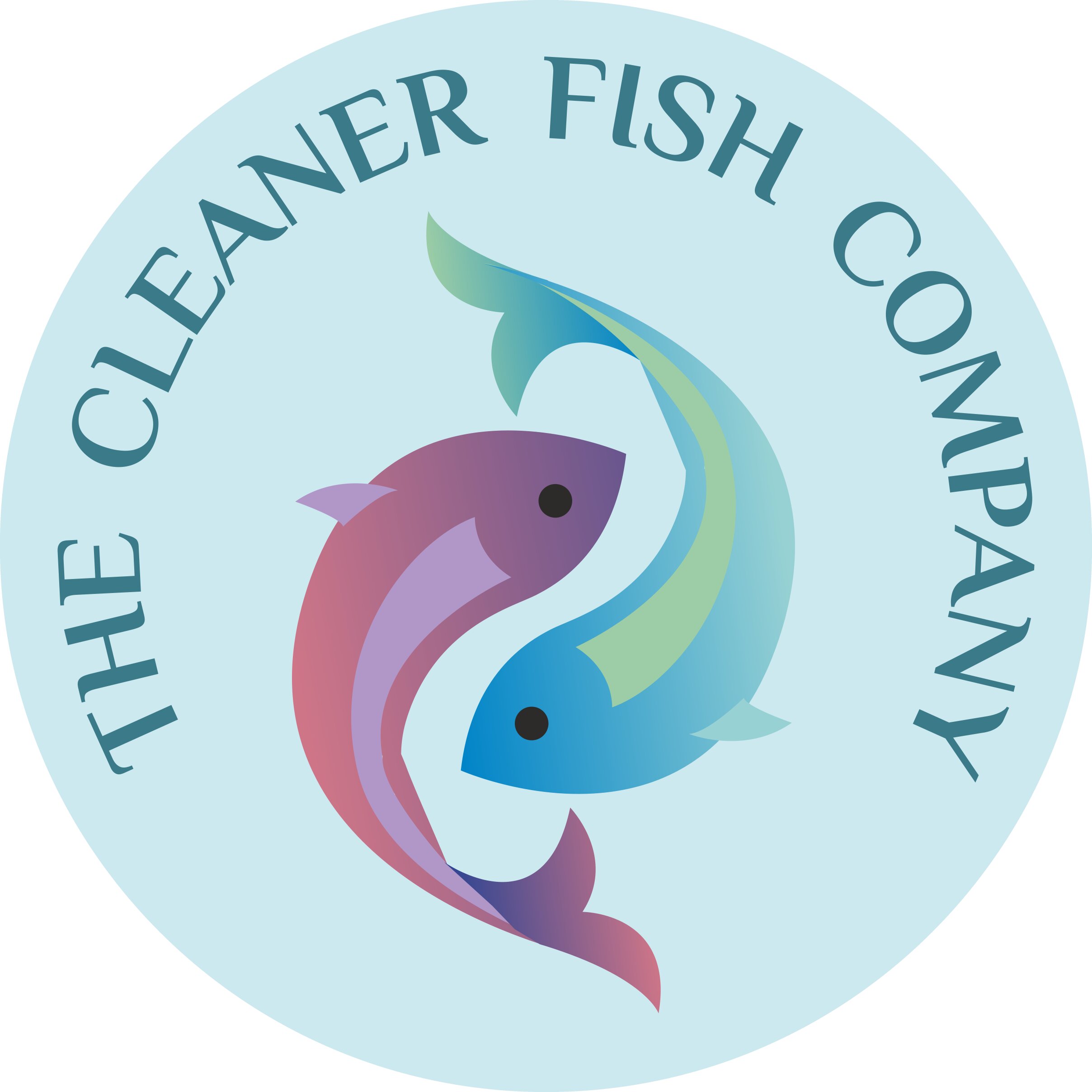 Cleaner Fish Company logo