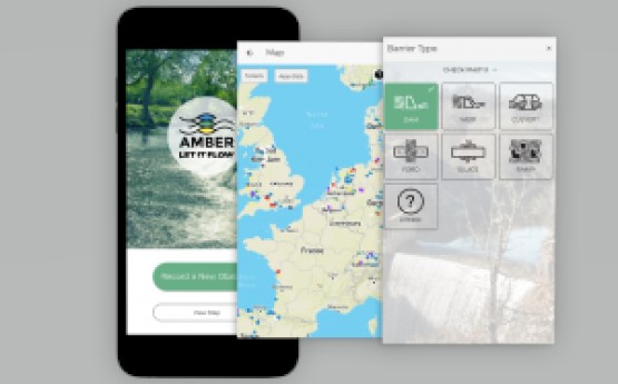 delweddau yn dangos sgrinluniau o'r ap