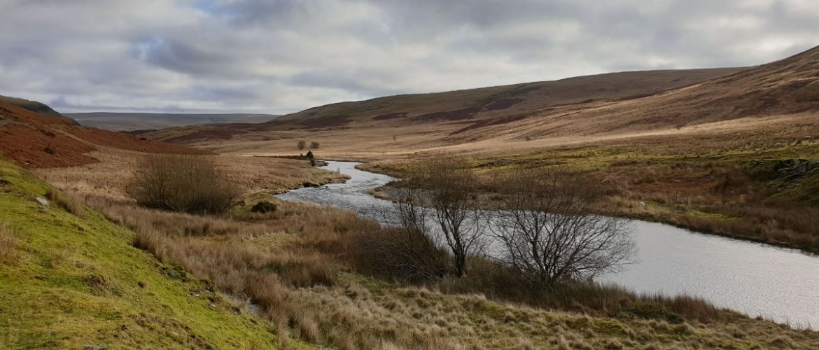 afon yn llifo yng nghymru