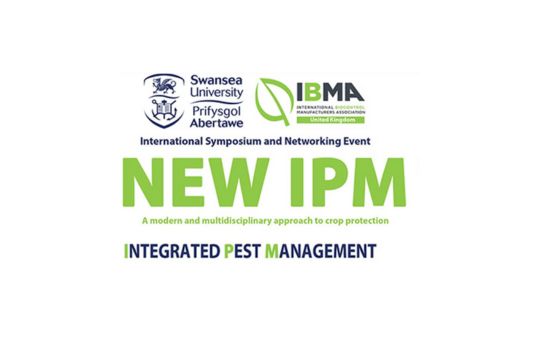 New IPM
