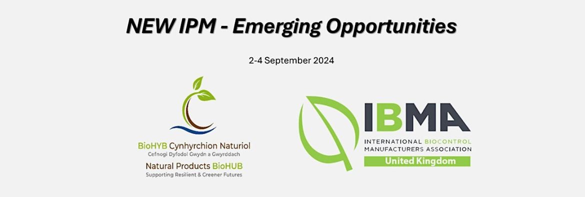 IPM 2024