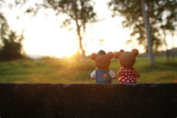 teddybears in sunset